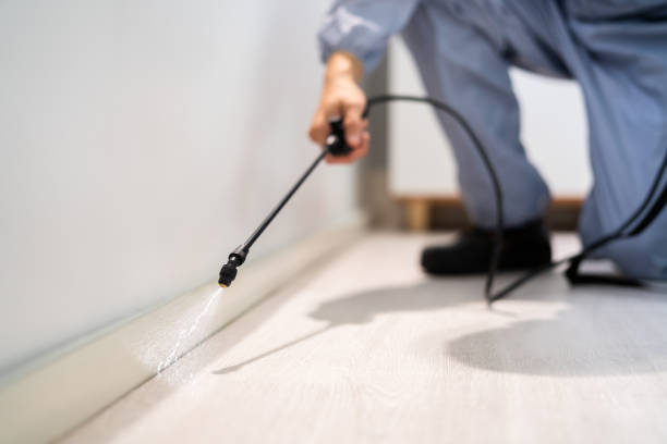 Best Residential Pest Control  in Ramseur, NC