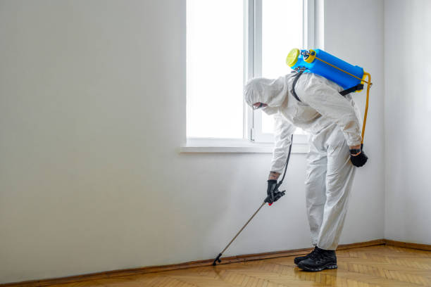 Best Residential Pest Control  in Ramseur, NC