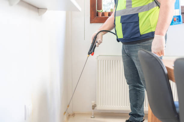 Best Flea Control Services  in Ramseur, NC