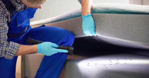 Best Termite Control Services  in Ramseur, NC