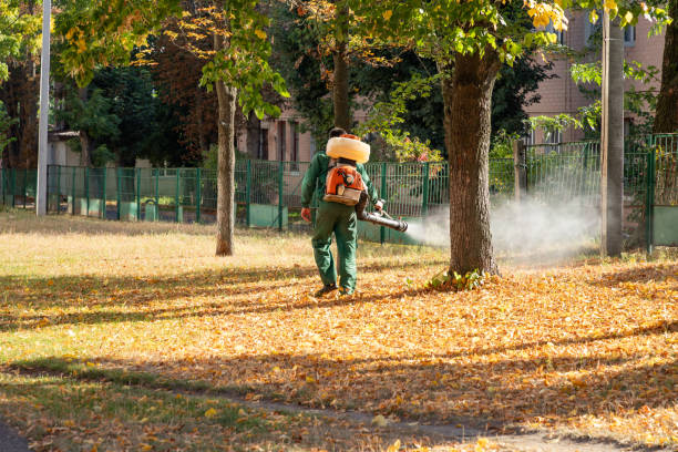 Pest Control Cost in Ramseur, NC