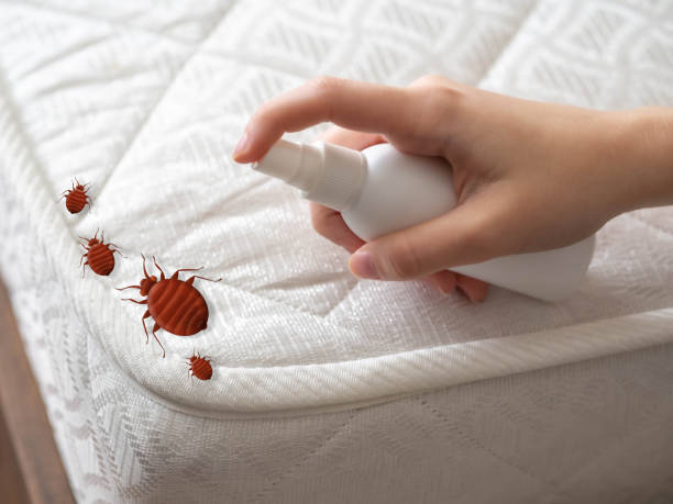 Pest Control Cost in Ramseur, NC