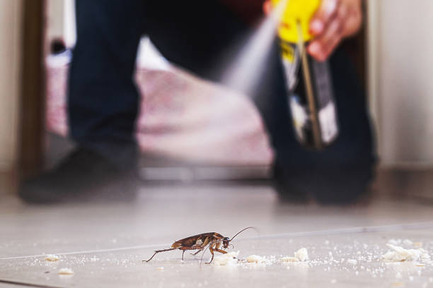 Best Emergency Pest Control  in Ramseur, NC