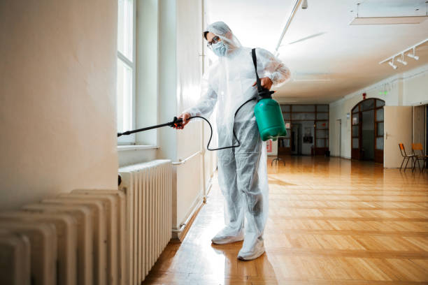 Best Ant Control Services  in Ramseur, NC