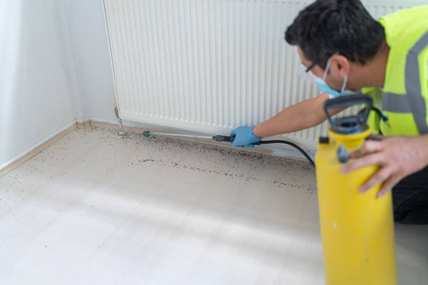 Best Wasp Removal Services  in Ramseur, NC