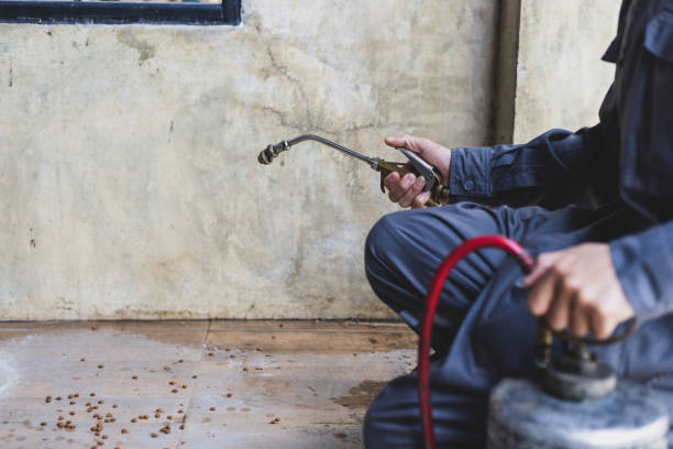 Best Exterminator Services  in Ramseur, NC