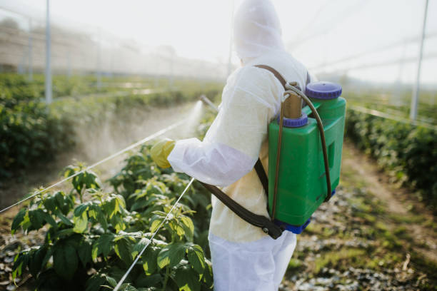 Best Mosquito Control Services  in Ramseur, NC